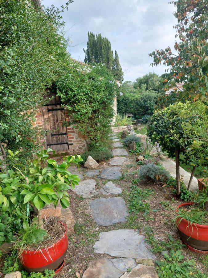 Le Mas Du Galibot Chambre Cambalotte Saint-Florent-sur-Auzonnet Eksteriør bilde