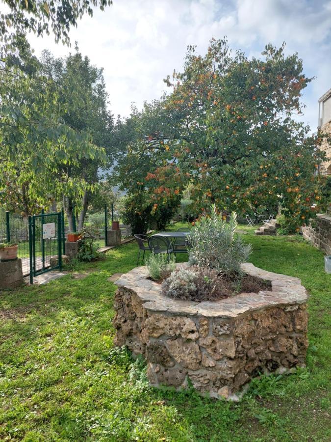 Le Mas Du Galibot Chambre Cambalotte Saint-Florent-sur-Auzonnet Eksteriør bilde