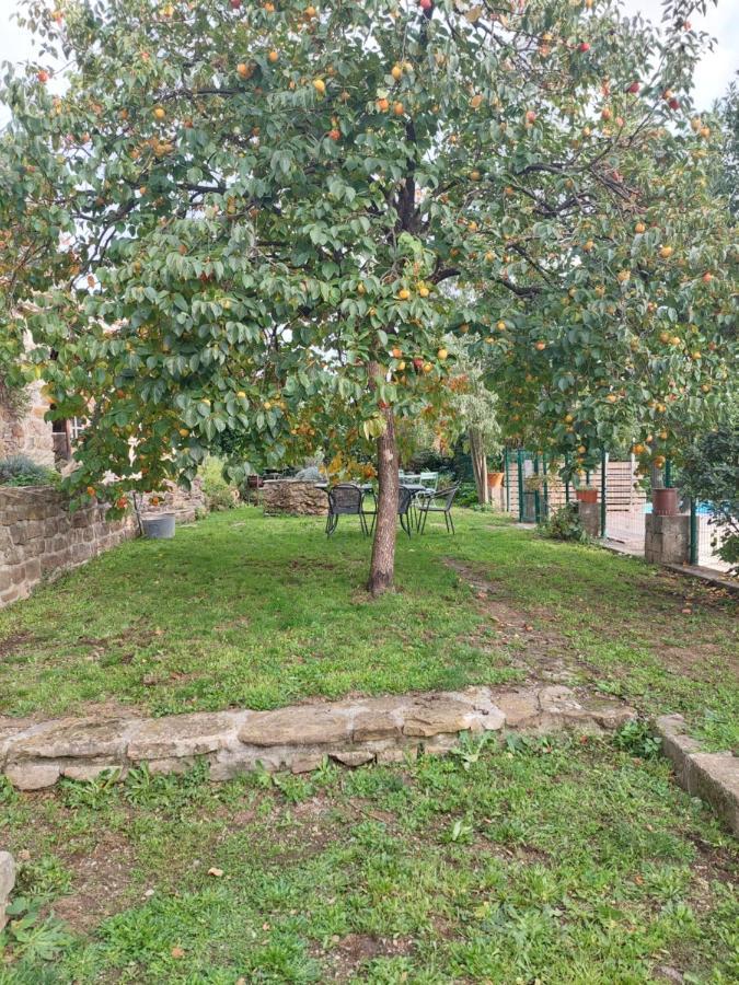 Le Mas Du Galibot Chambre Cambalotte Saint-Florent-sur-Auzonnet Eksteriør bilde